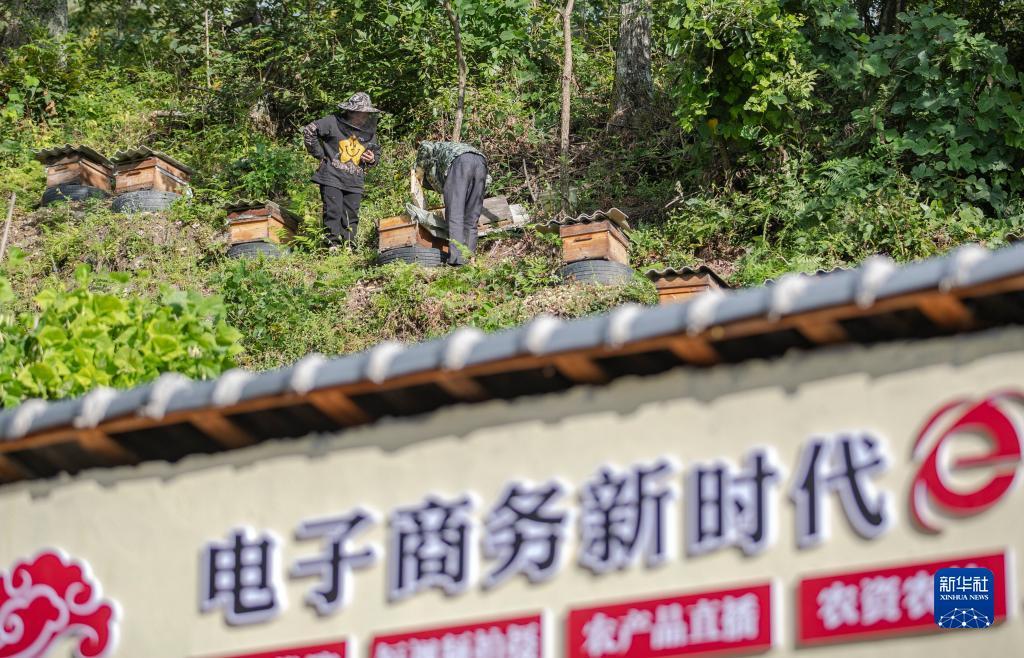 国际游戏开户